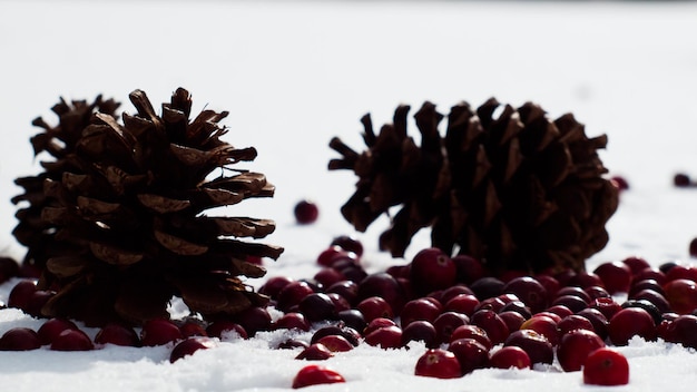 Adorno de Navidad en la nieve con arándanos.