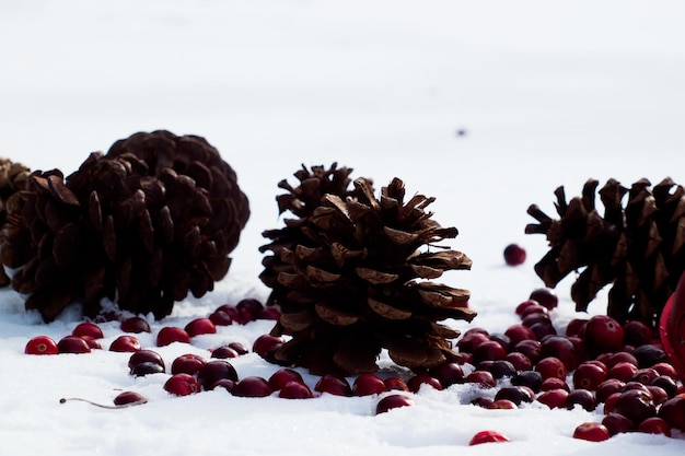 Adorno de Navidad en la nieve con arándanos.