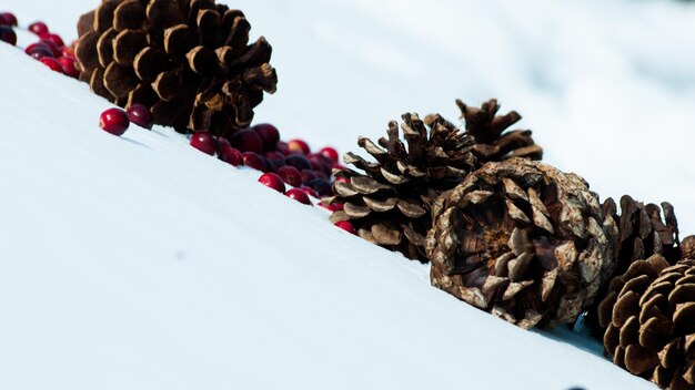 Adorno de Navidad en la nieve con arándanos.