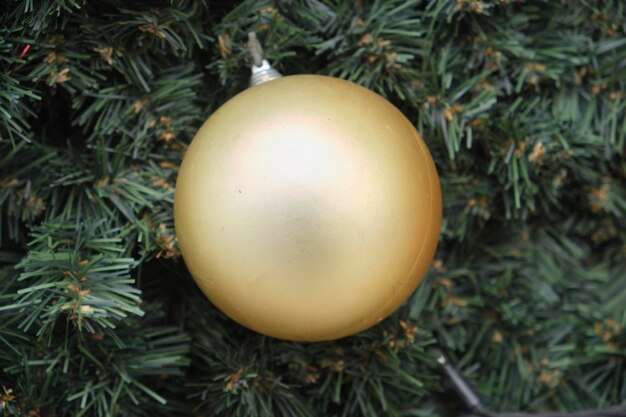 Un adorno navideño colgado de un árbol