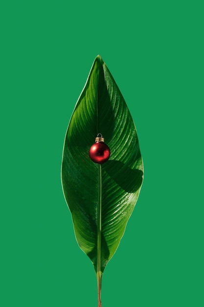 Adorno navideño rojo sobre hoja verde tropical Vista frontal Concepto botánico de saludo de año nuevo