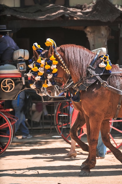 Adornos en la cabeza de los caballos de carruaje