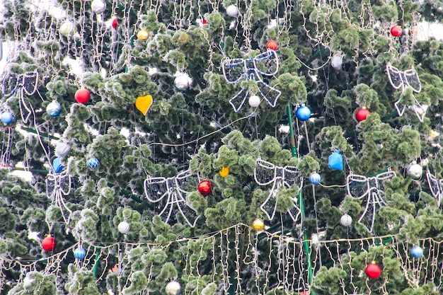 Adornos navideños en el árbol de Navidad cubiertos de escarcha
