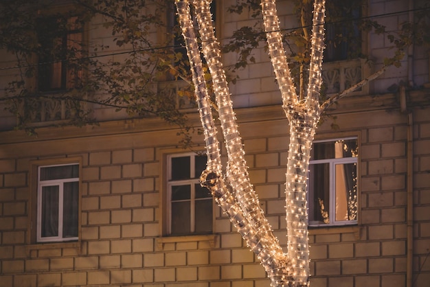 Adornos navideños iluminados en la calle.