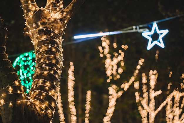 Adornos navideños iluminados en la calle.