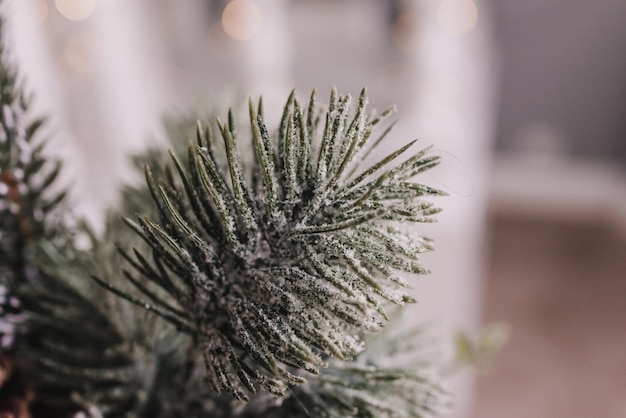 Adornos navideños navidad árbol verde