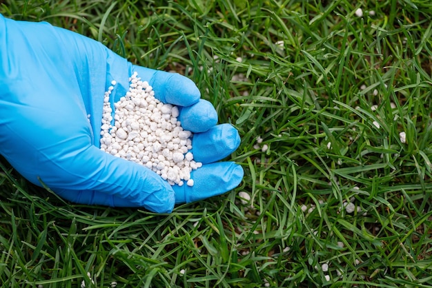 Adubação de grama com fertilizante mineral granulado