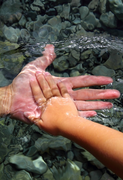 Adulto e crianças mãos segurando debaixo d&#39;água