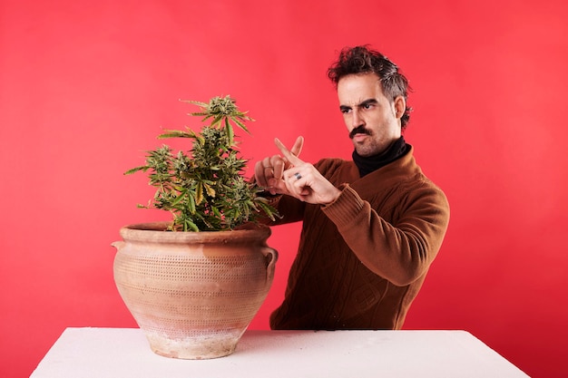 Un adulto joven dando un pulgar hacia arriba junto a una planta de marihuana con fondo rojo.