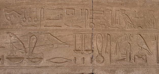 Foto Ägyptische hieroglyphen auf felswand ägyptisch-archerologische symbole alphabet pharaonen ägypten karnak