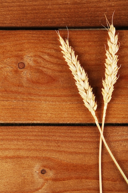 Foto Ährchen des weizens auf hölzernem hintergrund