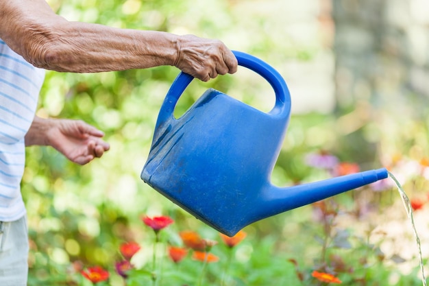Ältere Frau, die Pflanzen in ihrem Garten wässert