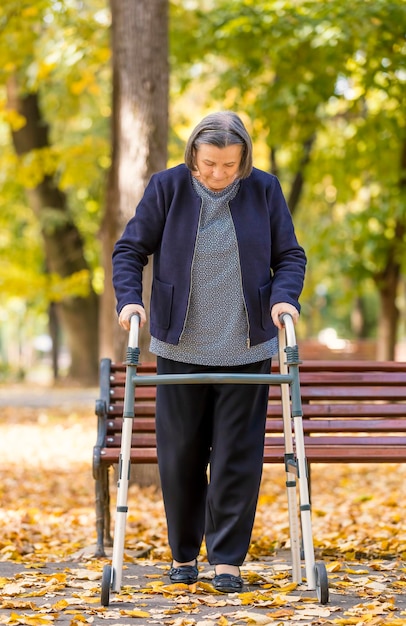 Ältere Frau geht mit einem Spaziergänger im Park