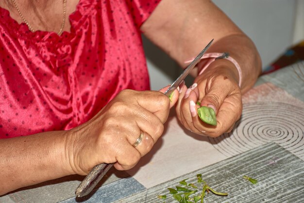 Ältere Hände, die grüne Bohnen zum Kochen zubereiten, ein Moment der heimischen Küche