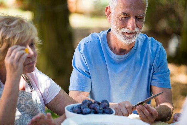 Ältere paare, die samen von aprikosenfrüchten im garten entfernen