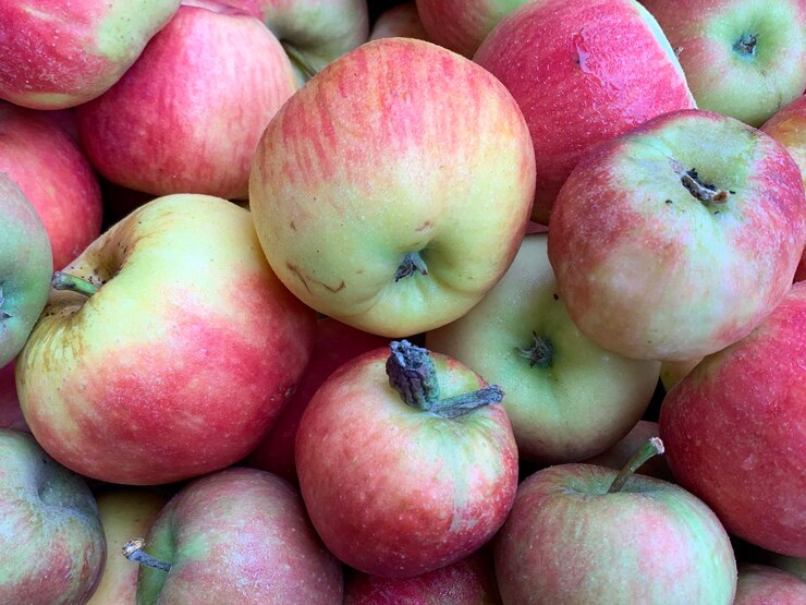 Foto äpfel apfel manzana jabuka