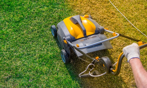 Foto aerador amarelo na grama verde