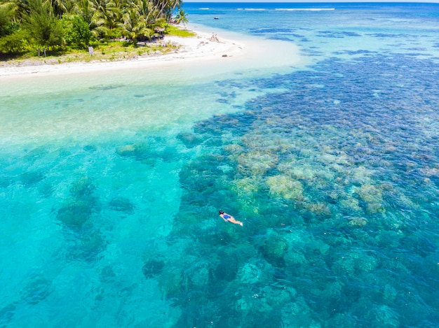 Aérea de arriba hacia abajo personas que bucean en el arrecife de coral del mar caribe tropical