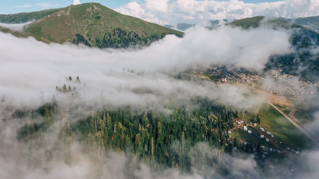 Aérea da floresta enevoada