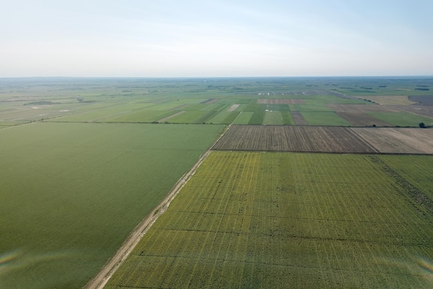 Aérea de campos de verão. Vista aérea do campo verde. Antena de campo de agricultura.