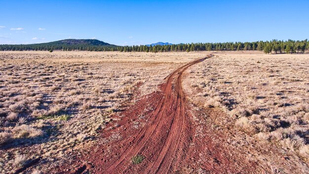 Aerial de estrada de areia vermelha no deserto em campos de arbustos