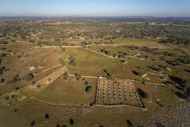 Aerial Landschaft in der Nähe von Arroyo de la Luz Extremadura Spanien