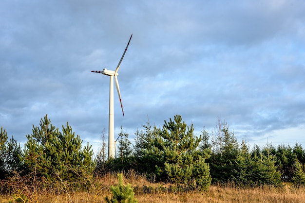 Aerogenerador para energía eléctrica en el campo