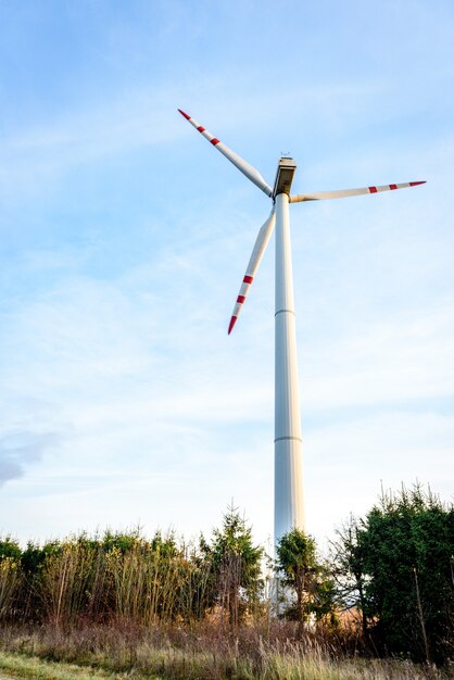 Aerogenerador para energía eléctrica en el campo