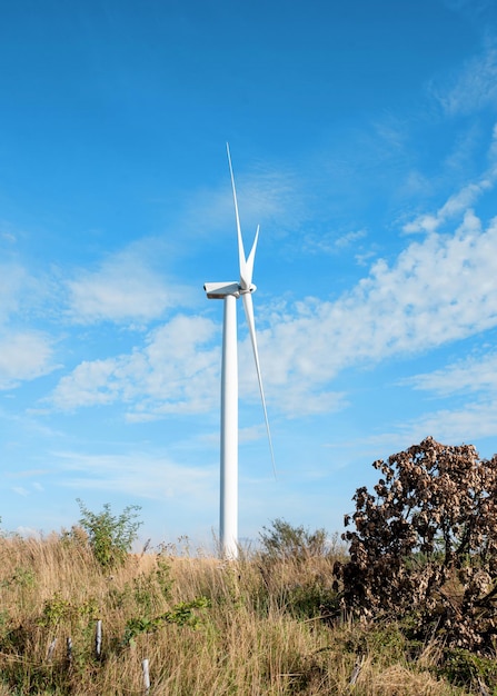 El aerogenerador no gira y no produce electricidad para la red eléctrica nacional debido a la ausencia de viento.