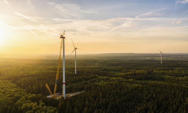 Aerogeneradores en construcción en el bosque - Producción de energía con energía limpia y renovable - toma aérea