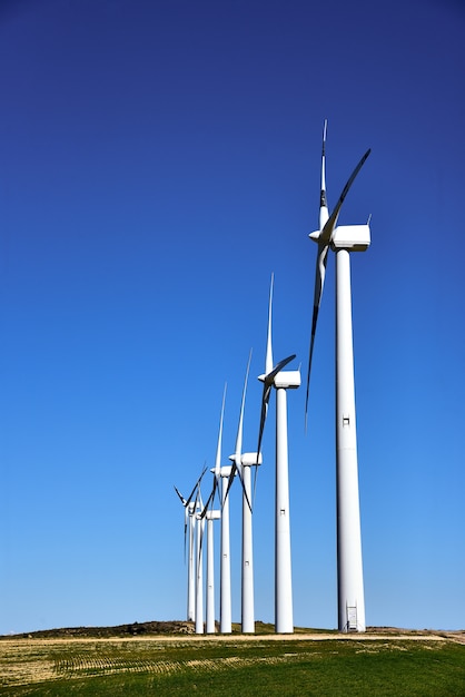 Foto aerogeneradores para produccion de energia electrica