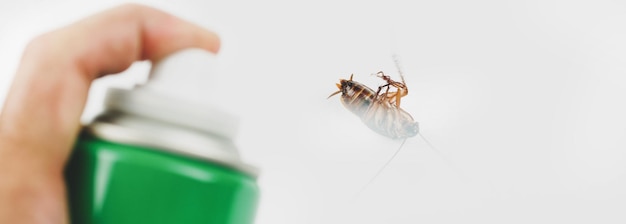 Foto aerosol de cucarachas con latas de aerosol sobre fondo blanco.