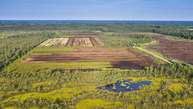 Aerrail del paisaje pantanoso parcialmente destruido