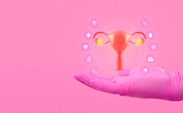 Ärzte in rosa Handschuhen zeigen eine gesunde Gebärmutter, die das Konzept des Pap-Tests symbolisiert