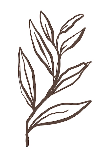 Ästhetisches Blatt png Aufkleber botanische Linienkunst durchsichtiger Hintergrund