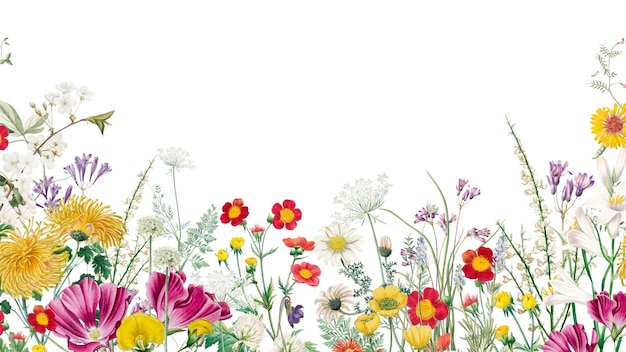 Ästhetisches Blumenfeld png-Rand durchsichtiger Hintergrund
