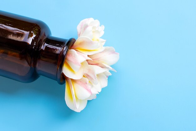 Ätherisches öl mit plumeria oder frangipani-blume auf blauem hintergrund.