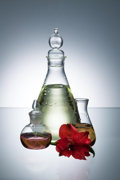 Ätherisches Öl und Duft in transparenten Flaschen und rote Blume auf grauem Hintergrund mit Vignettierung
