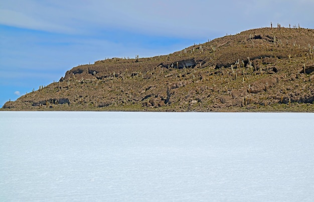 Afloramento rochoso em Uyuni Salt Flats com incontáveis cactos gigantes na Bolívia