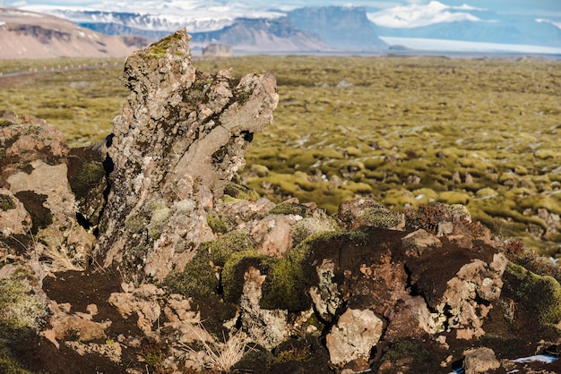 Afloramientos de roca cubiertos de musgo en los campos de lava Eldrhaun de Islandia