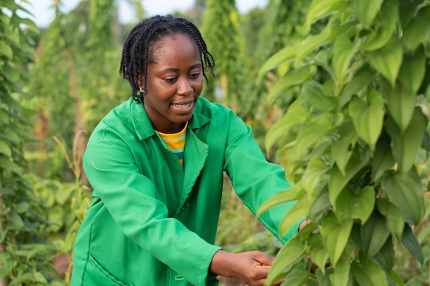 Afrikanische Bäuerin arbeitet