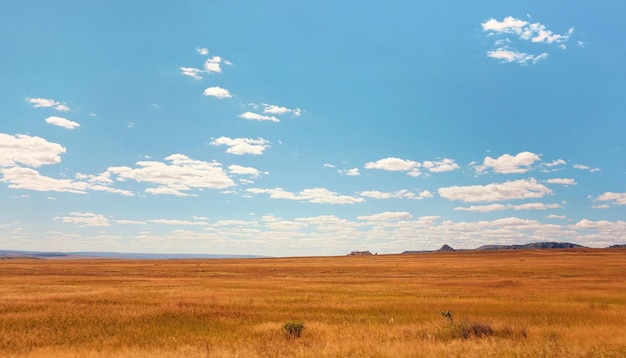 Afrikanische Savanne mit wenigen kleinen Büschen, Berge in der Ferne - typische Landschaft bei Ilakaka, Madagaskar