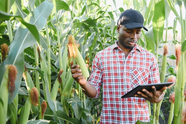 Afrikanischer Bauer steht mit Tablet auf dem grünen Bauernhof