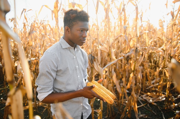 Afrikanischer Bauernstand im Maisplantagenfeld