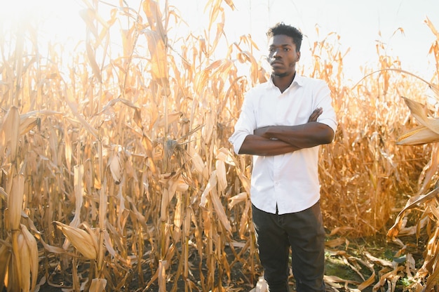 Afrikanischer Bauernstand im Maisplantagenfeld