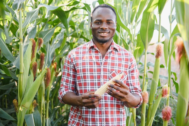 Afrikanischer Bauernstand im Maisplantagenfeld