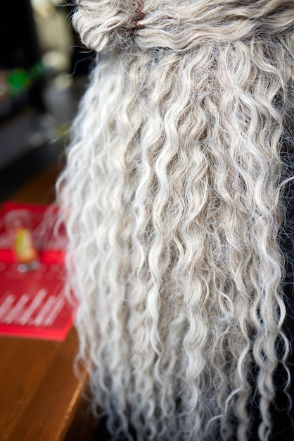 Afro-Zöpfe Dreadlocks Afrikanische Zöpfe auf weißem Hintergrund webt ein Friseurmeister im Salon