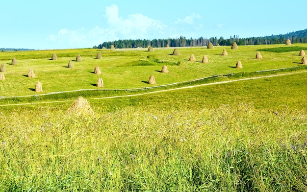 En las afueras de la aldea de montaña de verano con montones de heno en el campo (Cárpatos, Ucrania)