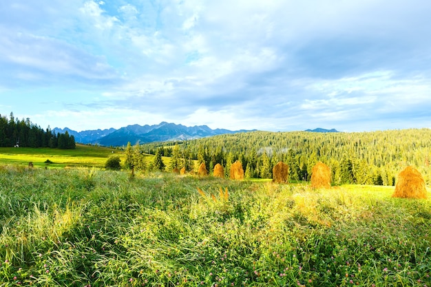 Afueras del pueblo de montaña de verano con pajares y detrás de la cordillera de Tatra (Polonia)