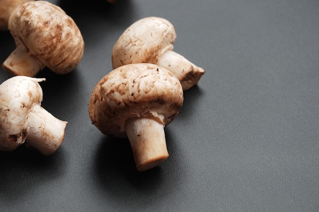 Agaricus bisporus o champiñón sobre fondo negro aislado